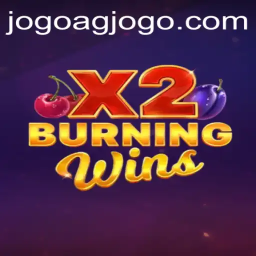 BurningWinsX2: An Overview and Guide